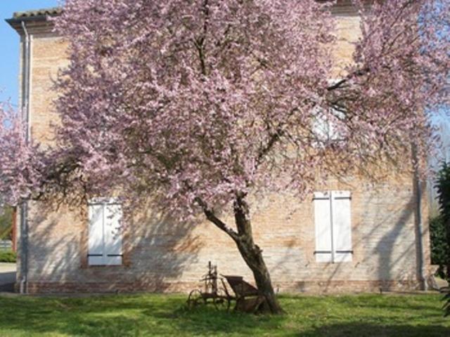 Le Platane Bed & Breakfast Lafrançaise Dış mekan fotoğraf