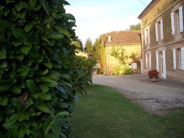 Le Platane Bed & Breakfast Lafrançaise Dış mekan fotoğraf